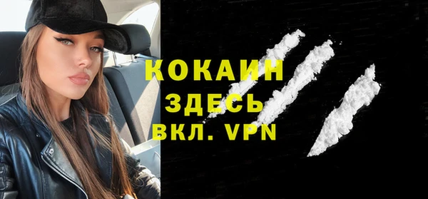 гидра Майский