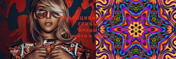 гидра Майский