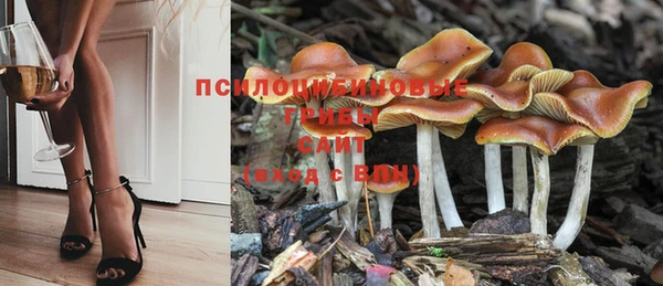 скорость Липки