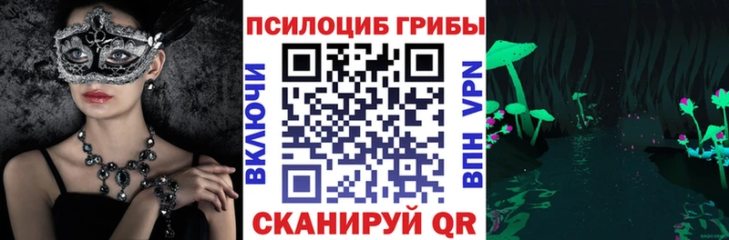 Галлюциногенные грибы мицелий MEGA tor Ишимбай