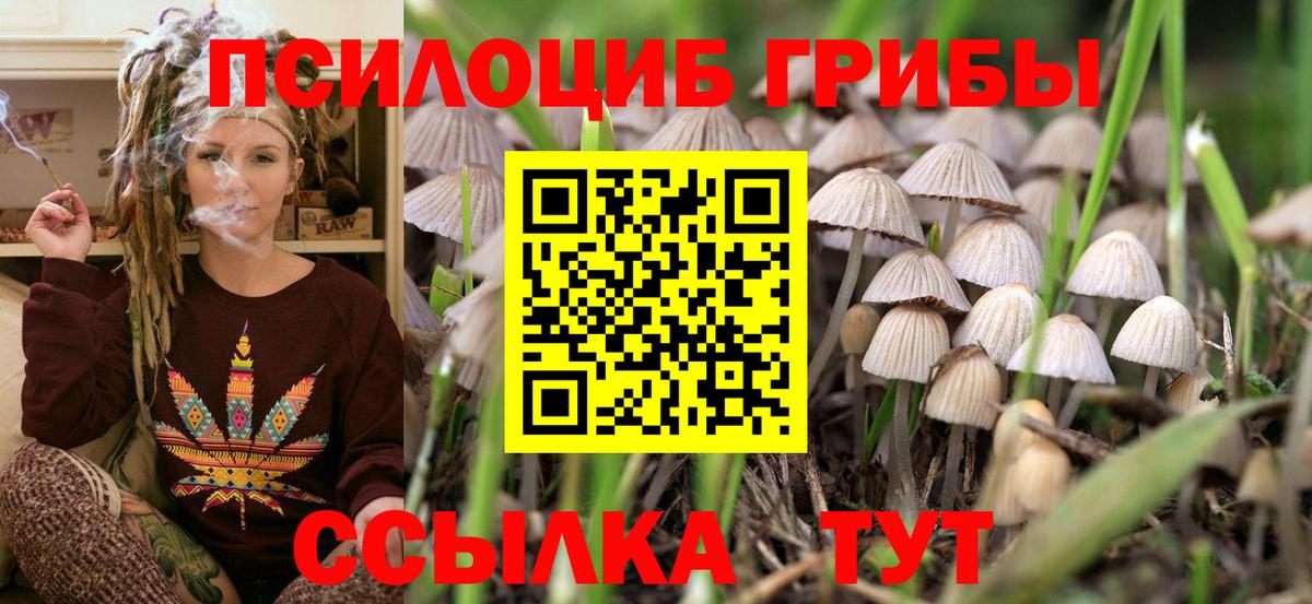 Галлюциногенные грибы GOLDEN TEACHER  Галлюциногенные грибы Psilocybine cubensis  Ишимбай  Вход с VPN 